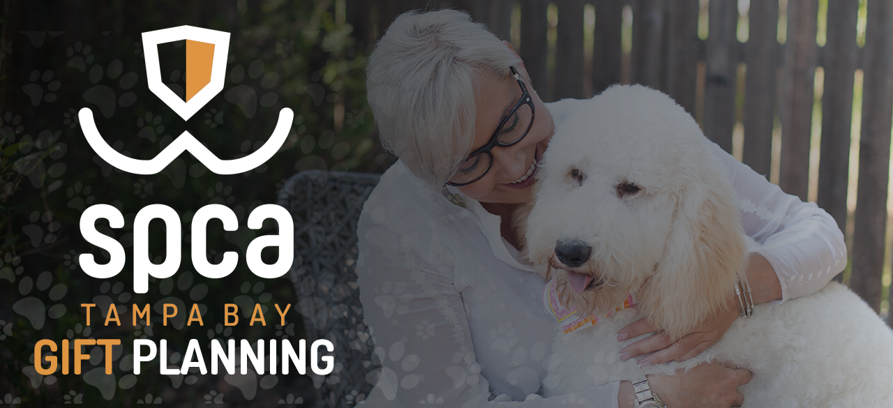 SPCA Tampa Bay enewsletter header graphic